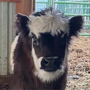 Meet your Posher, Terra